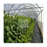 Filet d'ombrage industriel, fabricant chinois, conteneur, filet à insectes, vanille, croissance, Poly Tunnel, système de serre pour l'agriculture