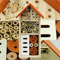 Maison d'insectes en bois, hôtel d'insectes suspendu pour les abeilles, les papillons, les coccinelles, habitat d'insectes bénéfiques, décoration de jardin personnalisée