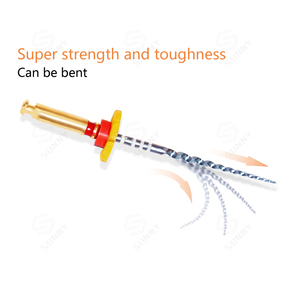 Dụng cụ nha khoa Endo Files, dụng cụ xoay nha khoa Niti, dụng cụ <span class=keywords><strong>Endodontic</strong></span> côn lớn, dụng cụ xoay Rogin - Product Image 6