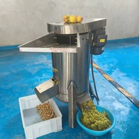 RVS fruitontpitter, industriële fruit- en groente-mango-ontpitter en -pulpmachine