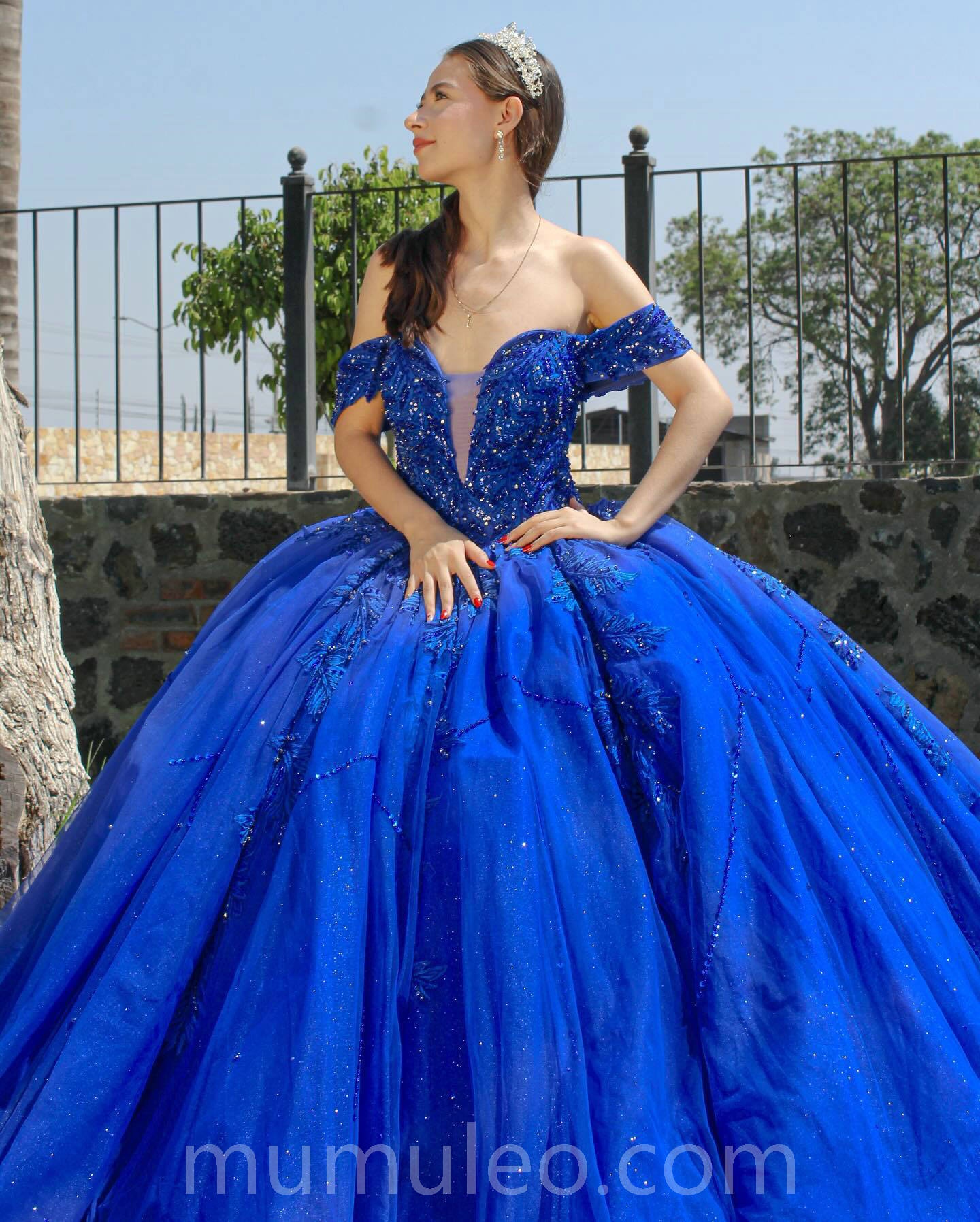Mumuleo Blue Quince Dress - Sweet 16 Ball Gown with Sequins