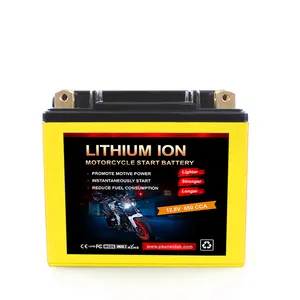 Customizable 48V 15AH LiFePO4 Battery Pack Solutions for Various Uses