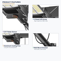 Lampadaire solaire double panneau LED pliable pour extérieur, conception personnalisée marque privée, modèle exclusif, lancement de nouveau produit, qualité supérieure