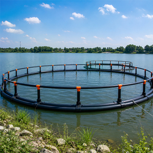 Cage à poissons en plastique HDPE de haute qualité, piège à crevettes pour eaux profondes, conception flottante efficace, élevage aquacole de crabes et homards - Product Image 3