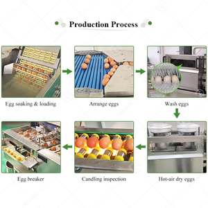 <span class=keywords><strong>Avicola</strong></span> Industrial Maquina Limpiadora Lavadora Y Secadora De Huevo De Gallina Egg Washer and Dryer Machine - Product Image 5