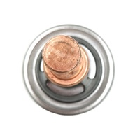 Usine professionnelle en gros 7701348376 06A121111A Thermostat de liquide de refroidissement pour renault