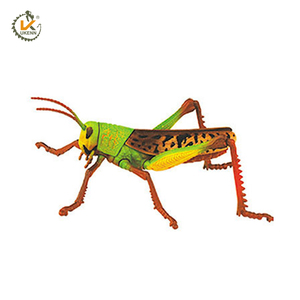3D insecte Coléoptère puzzle jouet pour jouets éducatifs - Product Image 5