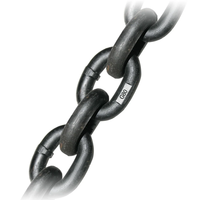 Chaîne en acier allié G80 avec revêtement noir pour élingues et équipements de levage industriels