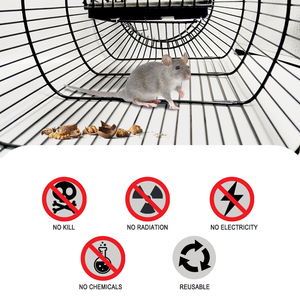 Cage de piège à rats en fil métallique Cage de piège d'élevage de <span class=keywords><strong>souris</strong></span> animale pour <span class=keywords><strong>souris</strong></span> - Product Image 6