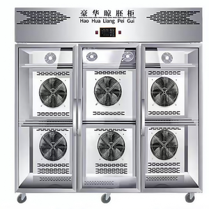 Exhibidor Refrigerado Comercial de Alta Resistencia LINGYA XHG, Gabinete de Flujo de Aire, Simulación de Altitud Andina para Asado <span class=keywords><strong>Peruano</strong></span> de Charqui y Paloma - Product Image 5