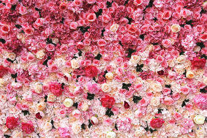 QSLH Ti448 White Gradient Pink Flower Wall fondale muro di <span class=keywords><strong>fiori</strong></span> decorativi artificiali di seta per lo sfondo del banchetto dell'evento del partito - Product Image 5