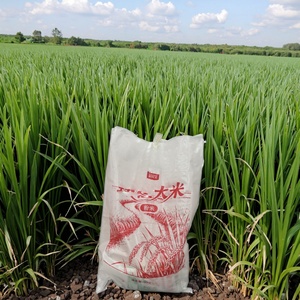 Sac tissé en PP laminé BOPP personnalisé avec logo, écologique et réutilisable, pour riz, maïs, aliments pour animaux, céréales, farine, 50 kg, 25 kg, 10 kg - Product Image 1