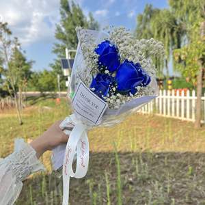 Vente flash Bouquet de savon en forme de <span class=keywords><strong>rose</strong></span> multicolore pour la Saint-Valentin, rendez-vous galant, cadeau pour la fête des mères - Product Image 6