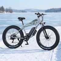 Vélo de montagne électrique 48V, 26 x 4,0 pouces, batterie lithium, moteur roue arrière, frein à disque, pour adultes