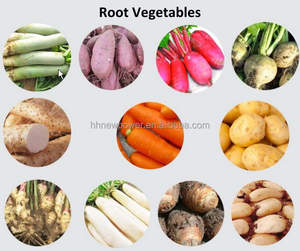 เครื่องล้างและปอกเปลือกมันฝรั่งและผลไม้แบบต่อเนื่อง กำลังการผลิต 300 กก./ชม. สำหรับมันม่วง กีวี และมันเทศ  ลดราคาพิเศษ - Product Image 3