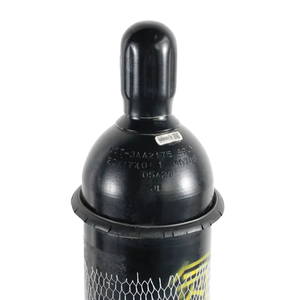 Gas Azoto Industriale per Riempimento Bombole 40L 50L Fornitore - Product Image 2