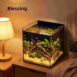 ตู้ปลากระจกใสพิเศษหนาพิเศษ ด้านหลังสีดำ ตู้ปลาสำหรับห้องนั่งเล่นขนาดเล็ก <span class=keywords><strong>ปลา</strong></span>เบต้า <span class=keywords><strong>ปลา</strong></span>ทอง <span class=keywords><strong>ปลา</strong></span>กูปี้ - Product Image 1