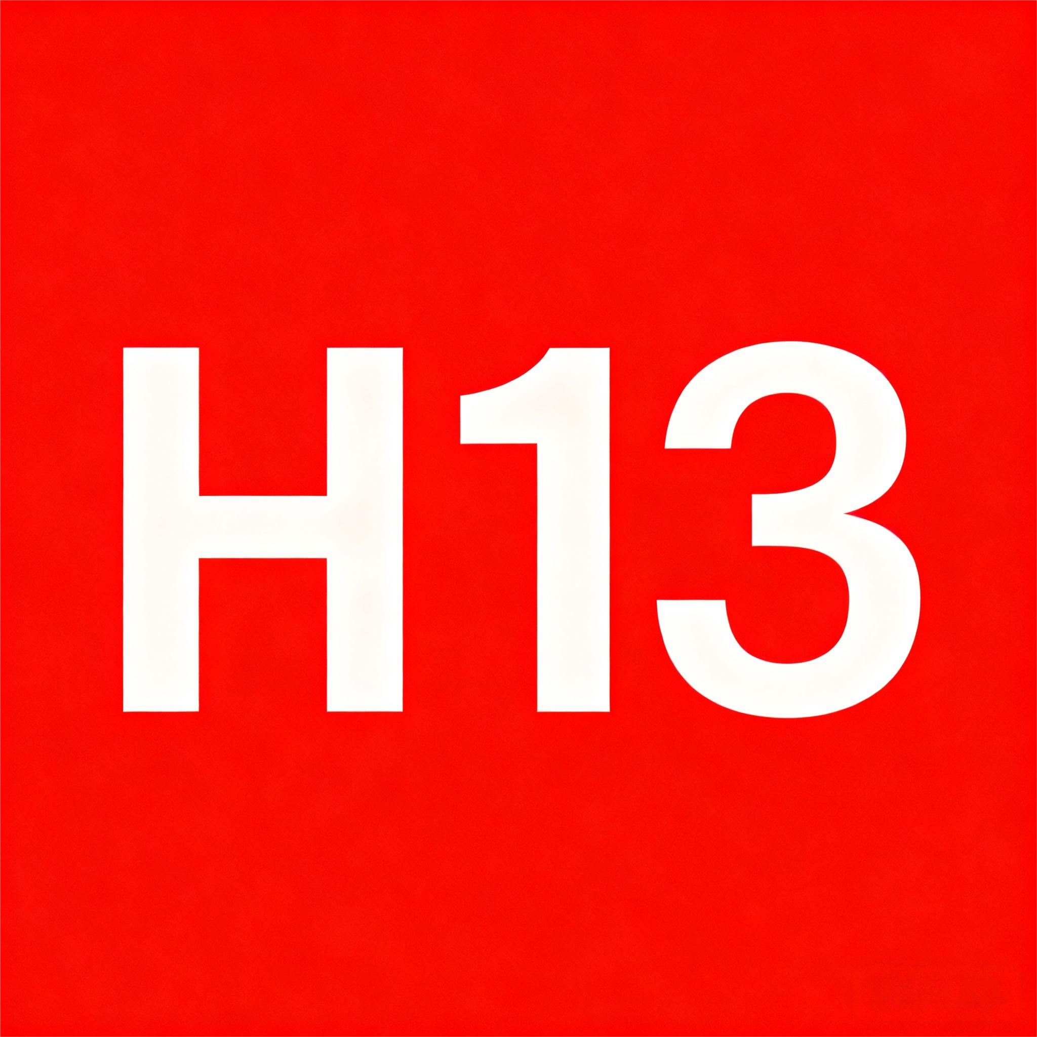 H13