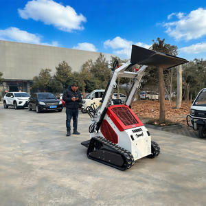 Mini-chargeuse compacte certifiée EPA, petite chargeuse frontale sur chenilles, moteur agricole, pompe, engrenage, moment de charge élevé, performance fiable - Product Image 2