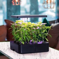 Joli pot hydroponique de bureau à 12 trous pour culture en eau profonde avec contrôle tactile intelligent, garantie 1 an, pour des légumes frais