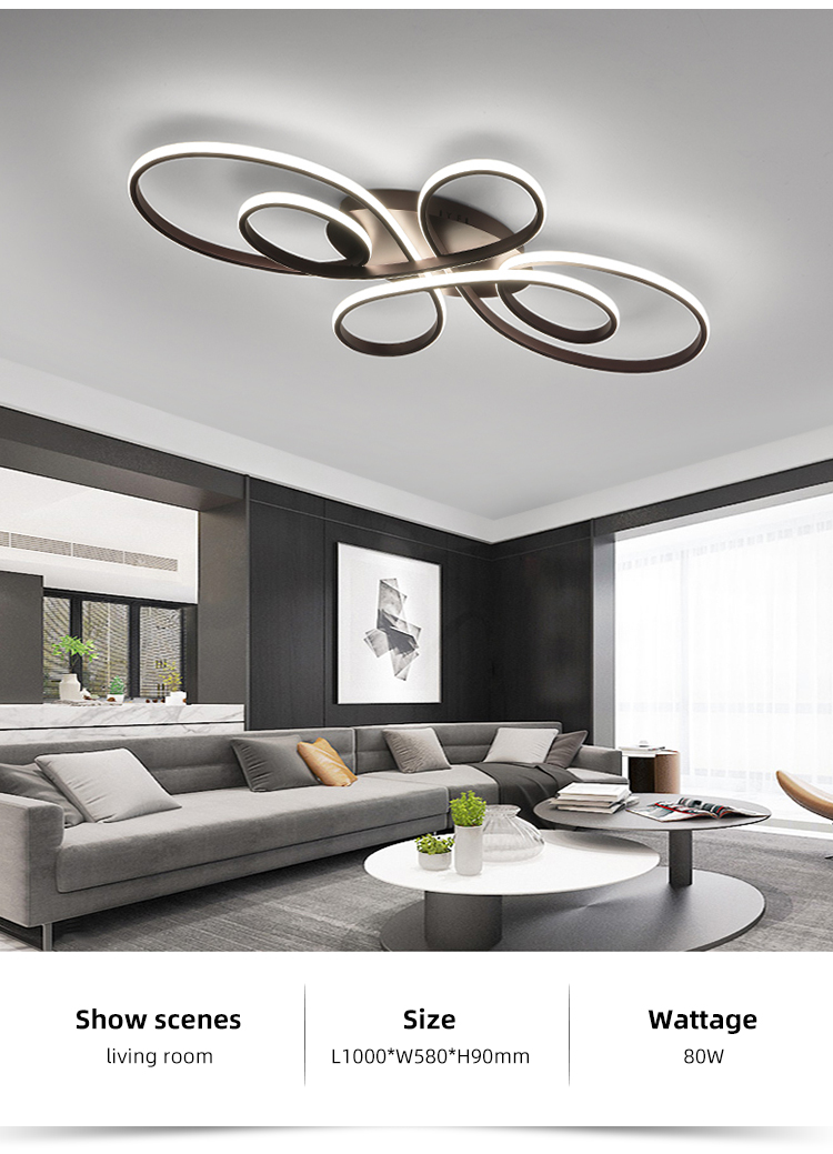 Newest Special Design Indoor Decor Sitting Room Modern Black White Led Ceiling Light
