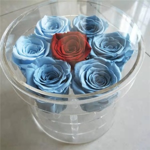 Roses éternelles conservées, 6/lot, vraies roses naturelles et durables, sans effort, boîte en acrylique, vente en gros - Product Image 5