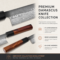 Ensemble Professionnel de Couteaux de Chef Kiritsuke en Acier Damas Style Japonais 2 Pièces, Outils de Cuisine Haute Qualité en Acier Damas VG10