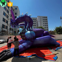 Gonflable géant de 10m de long, décoration d'événements du Festival, modèle d'animal personnalisé, Dragon gonflable, réplique pour la publicité, A9331