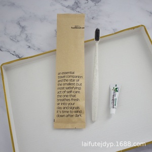 Hotel Homestay Wegwerp Plastic Zachte Haarborstel & Kam Badkamer Set met Bedrukt Logo Papieren Zak Verpakking Gastenkamers - Product Image 2