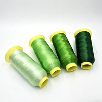 AUDIS Çevre Dostu %100 Polyester Filament Merserize Yüksek Dayanımlı Nakış İpliği 108D Makine Nakışı Tığ İşi Dikişi için