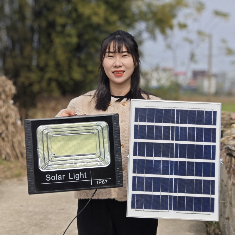 All in One Solar Street Light