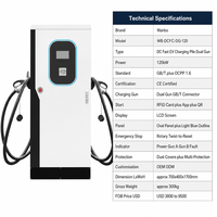 Borne de recharge rapide DC pour véhicules électriques Wanbo-576 120kW à double pistolet avec arrêt de sécurité rotatif, panneau elliptique, certifiée CE
