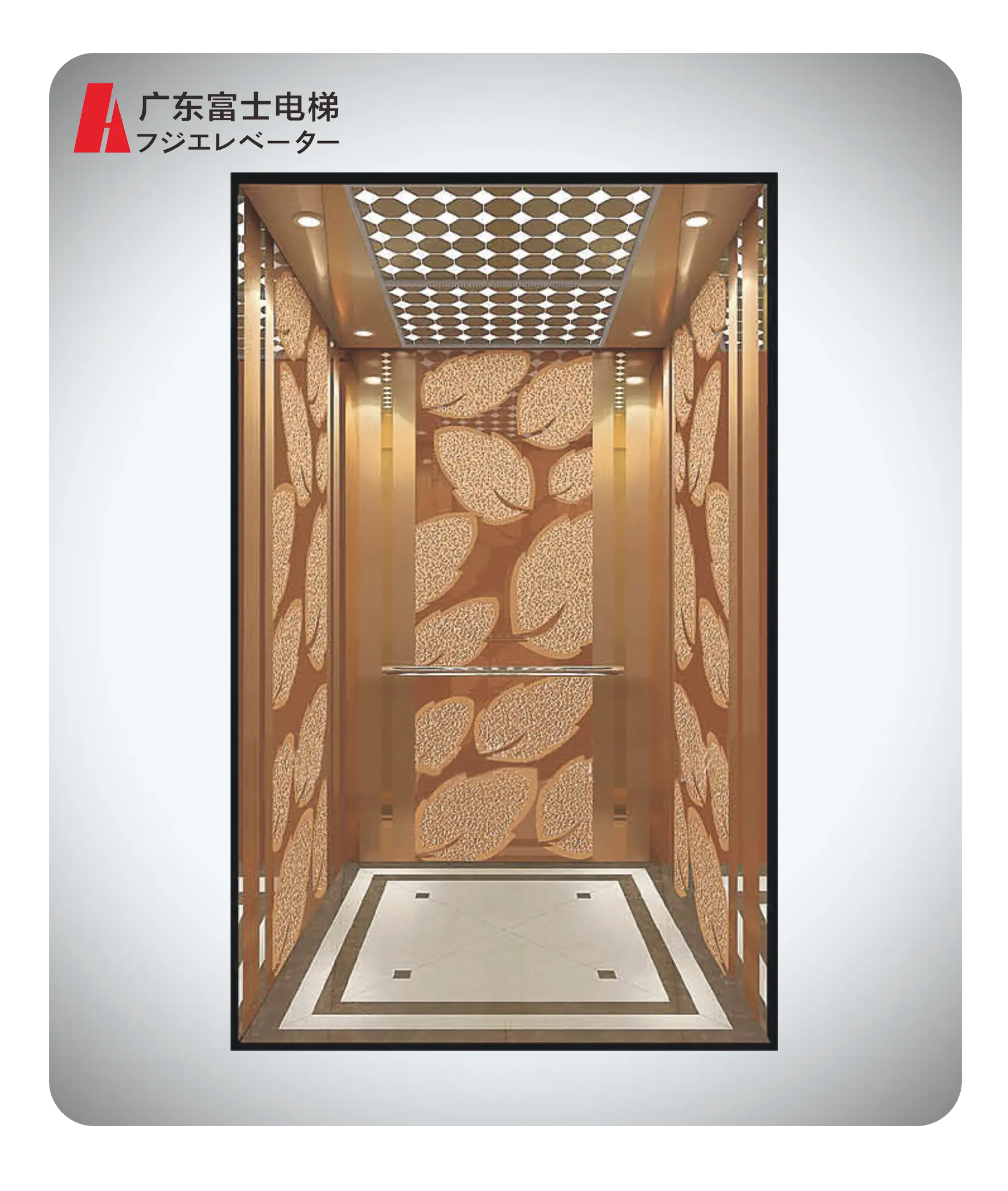 Hot Sale Passenger Elevator 10 Person Lift 800Kg Passenger Elevator Lift Building Lift Elevators