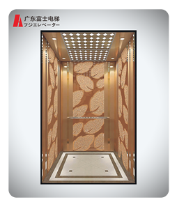 Hot Bán Hành Khách Thang Máy 10 Người Nâng 800Kg Hành Khách Thang Máy Thang Máy Xây Dựng Thang Máy Thang Máy - Product Image 6