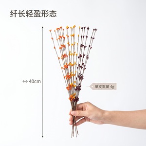 พวงหรีดผลเบอร์รี่จินเฉิง 40 ซม. ทำมือ วัสดุสานตกแต่งสีสันฤดูใบไม้ร่วง สำหรับเทศกาลเก็บเกี่ยว - Product Image 3