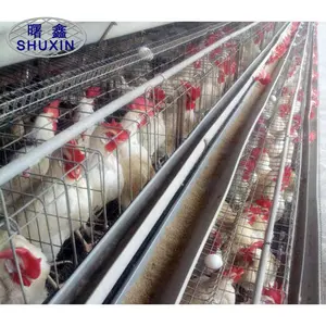 家禽畜産設備Q235鋼線メッシュ鶏層ケージハウスデザイン