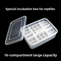 Caja de Incubación Rectangular de Plástico Simple para Reptiles, Lagartos, Tortugas Acuáticas, Mascotas que Escalan, Diseño Mediano, con Termómetro