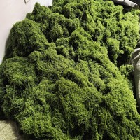 Tapis de mousse artificielle réaliste en plastique pour la décoration DIY, terrarium de Pâques, aménagement paysager mural