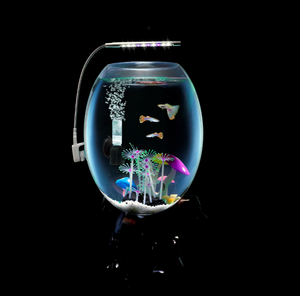 Mini Magical Design <strong>Aquarium</strong> Tank Fish <strong>Glass</strong> - Product Image 2