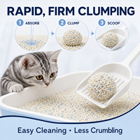 Litière pour chat légère et sans poussière à base de tofu et de manioc, contrôle des odeurs, nettoyage facile, vente en gros pour les animaleries et les distributeurs