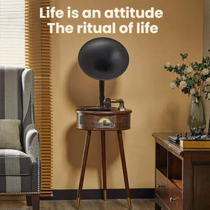 Tourne-disque vintage tout-en-un sur pied avec Bluetooth, radio FM, lecteur USB et son haute fidélité HiFi - Product Image 3