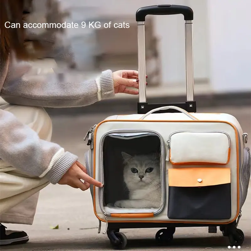 휴대용 여행 고양이와 개 가방 작은 개를위한 바퀴와 애완 동물 카트 애완 동물 통기성 배낭 범용 바퀴 밖으로 이동