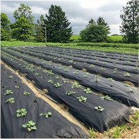 Rouleaux de tissu non tissé jetables en polypropylène PP Spunbond pour la protection des fruits et le contrôle des mauvaises herbes dans l'utilisation de la couverture agricole