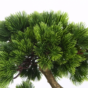 Belleza personalizable Pino Banyan árbol plantas Artificial Bonsai Mini - Product Image 3