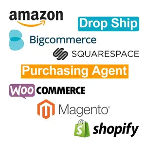 Shopify Dropshipping סוכן מהיר חינם לארה"ב Au האיחוד האירופי ברחבי העולם ספק דלת לדלת Dropshipping עם שיעור נמוך