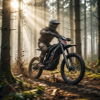 Moto électrique tout-terrain Arctic Leopard XE PRO R E, batterie lithium 74V 60Ah, couple de 700 Nm, 72 mph, enduro, hors route, trail