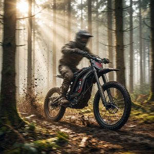 Moto électrique tout-terrain Arctic Leopard XE PRO R E, <span class=keywords><strong>batterie</strong></span> lithium 74V 60Ah, couple de 700 Nm, 72 mph, enduro, hors route, trail - Product Image 1