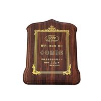 Plaques Métalliques Dorées Personnalisées de Haute Qualité, Gravées, Style Moderne, Récompenses, Plaques Commémoratives pour les Guerriers
