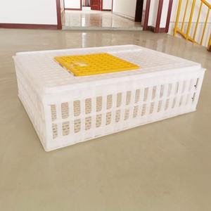 Cage de transport pour poulets vivants en plastique à vendre – Panier de transport professionnel pour poulets - Product Image 5