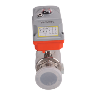 Ansi JIS 220V mini động cơ chủ đề thể hiện lô hàng bóng van nước thép không gỉ Mini Điện thể hiện lô hàng bóng van - Product Image 5